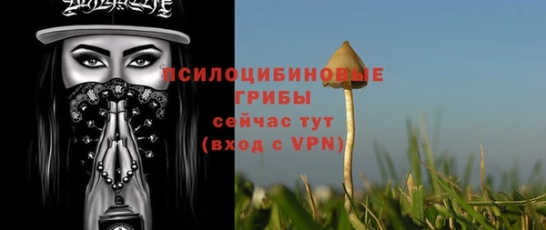 мет Белокуриха