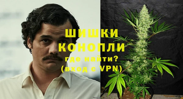 mdpv Богданович