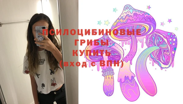 mdpv Богданович