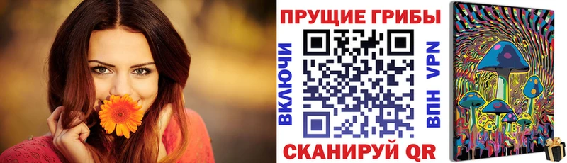 купить наркотик  Клин  Псилоцибиновые грибы Magic Shrooms 